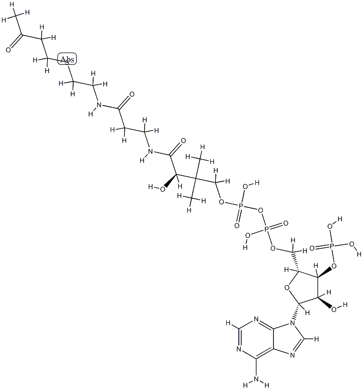 S-(3-oxobutyl)coenzyme A Struktur