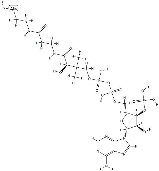 coenzyme A persulfide Struktur