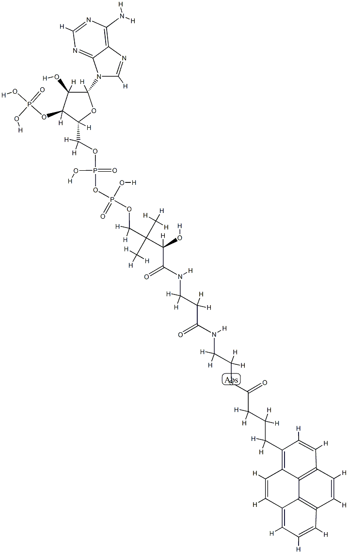 1-pyrenebutyryl-coenzyme A Struktur