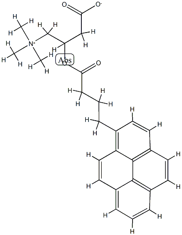 (1-Pyrenebutyryl)carnitine Struktur