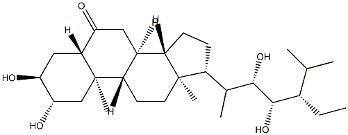 22S,23S-HOMOCASTASTERONE Struktur