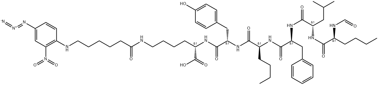 NPH-peptide Struktur