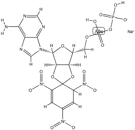 2',3'-(O-(2,4,6-trinitrocyclohexadienylidine))adenosine 5'-diphosphate Struktur