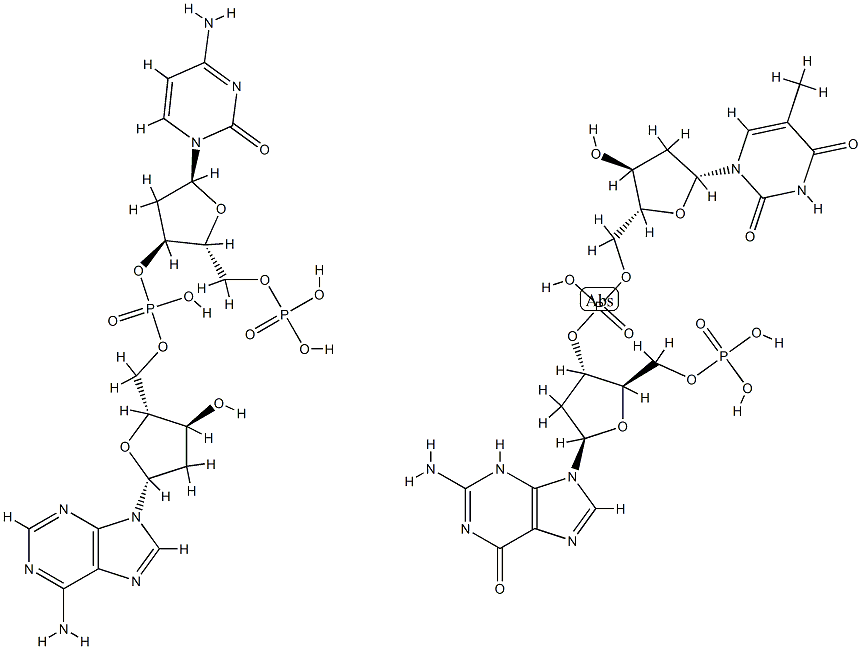 poly(d(G-T).d(C-A)) Struktur