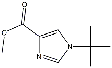 methyl 1-tert-butyl-1H-imidazole-4-carboxylate Struktur