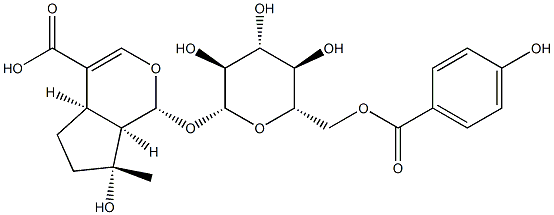 6′-(p-Hydroxybenzoyl)mussaenosidic acid Struktur