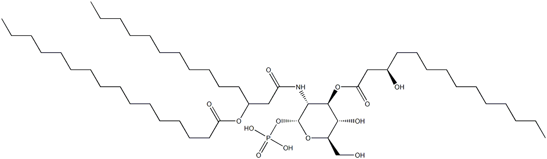 lipid Y Struktur