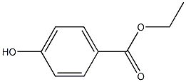 CATALASE Struktur