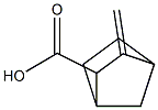 2-Norbornanecarboxylicacid,3-methylene-(7CI) Struktur