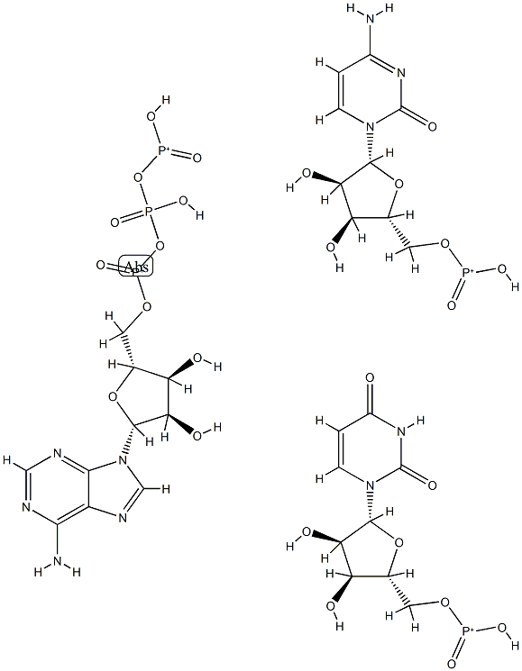 adenosine triphosphate-uridine monophosphate cytidine monophosphate Struktur