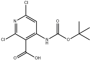  化學(xué)構(gòu)造式