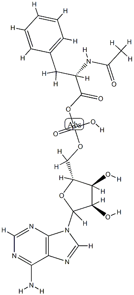 N-acetylphenylalanyl-adenosine monophosphate-anhydride Struktur