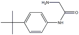 2-amino-N-(4-tert-butylphenyl)acetamide Struktur