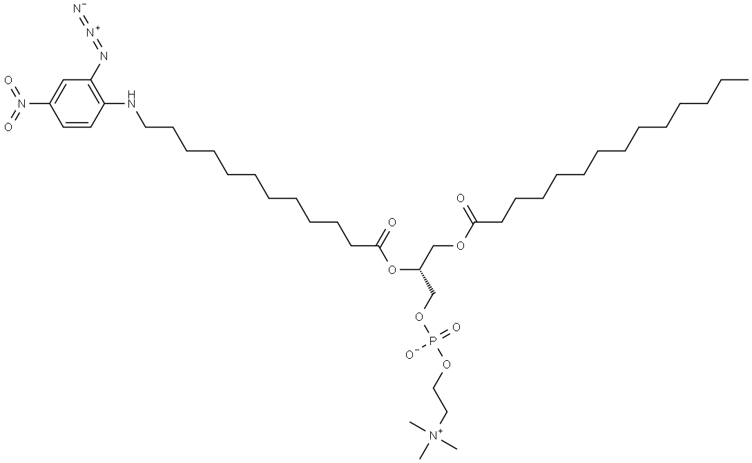 1-myristoyl-2-(2-azido-4-nitrobenzoyl)phosphatidylcholine Struktur