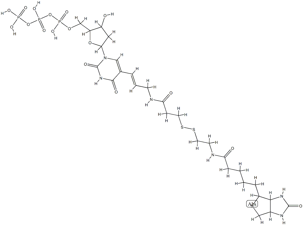 [[[5-[2,4-dioxo-5-[(E)-3-[3-[2-[5-(7-oxo-3-thia-6,8-diazabicyclo[3.3.0 ]oct-2-yl)pentanoylamino]ethyldisulfanyl]propanoylamino]prop-1-enyl]py rimidin-1-yl]-3-hydroxy-oxolan-2-yl]methoxy-hydroxy-phosphoryl]oxy-hyd roxy-phosphoryl]oxyphosphonic acid Struktur