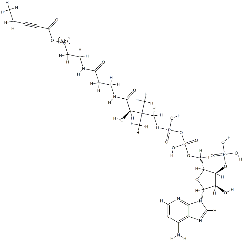 2-pentynoyl-coenzyme A Struktur