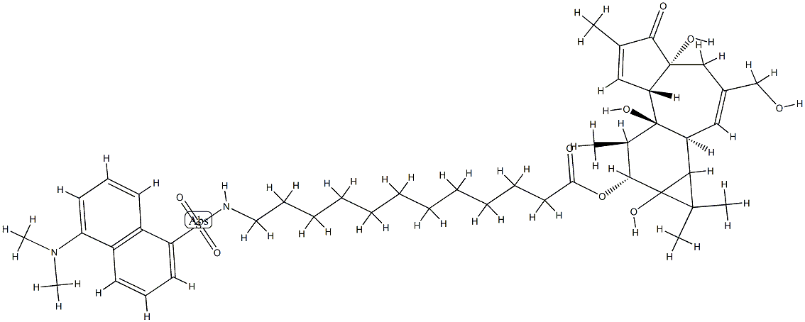 12-O-(12-N-dansylaminododecanoyl)phorbol Struktur