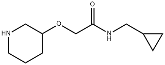 N-(cyclopropylmethyl)-2-(piperidin-3-yloxy)acetamide Struktur