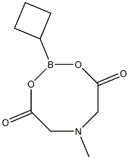 Cyclobutylboronic acid MIDA ester Struktur