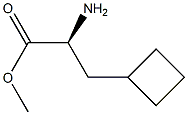 Cyclobutanepropanoic acid, α-amino-, methyl ester, (αS)- Struktur