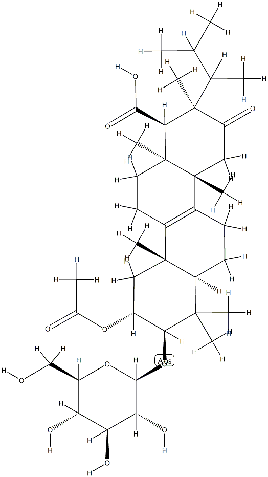 WF 11605 Struktur