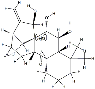 Kaur-16-en-20-oic acid,6,7,7,14,15-pentahydroxy-, 20,7-lactone, (6b,7a,14R,15b)- Struktur