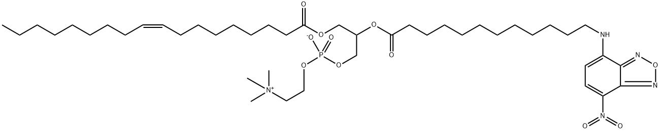 1-oleoyl-2-(12-((7-nitro-2,1,3-benzoxadiazol-4-yl)amino)dodecanoyl)phosphatidylcholine Struktur