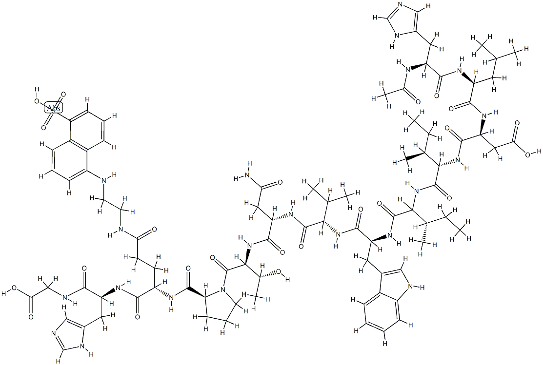 endothelin converting enzyme substrate Struktur