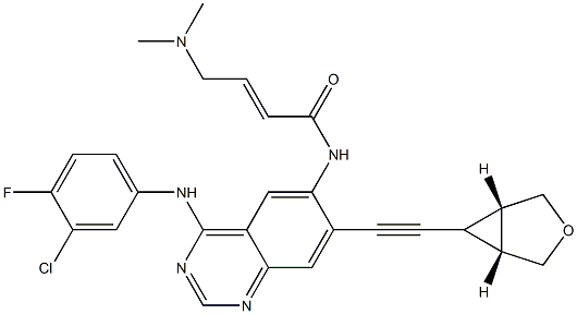 NT113 Struktur