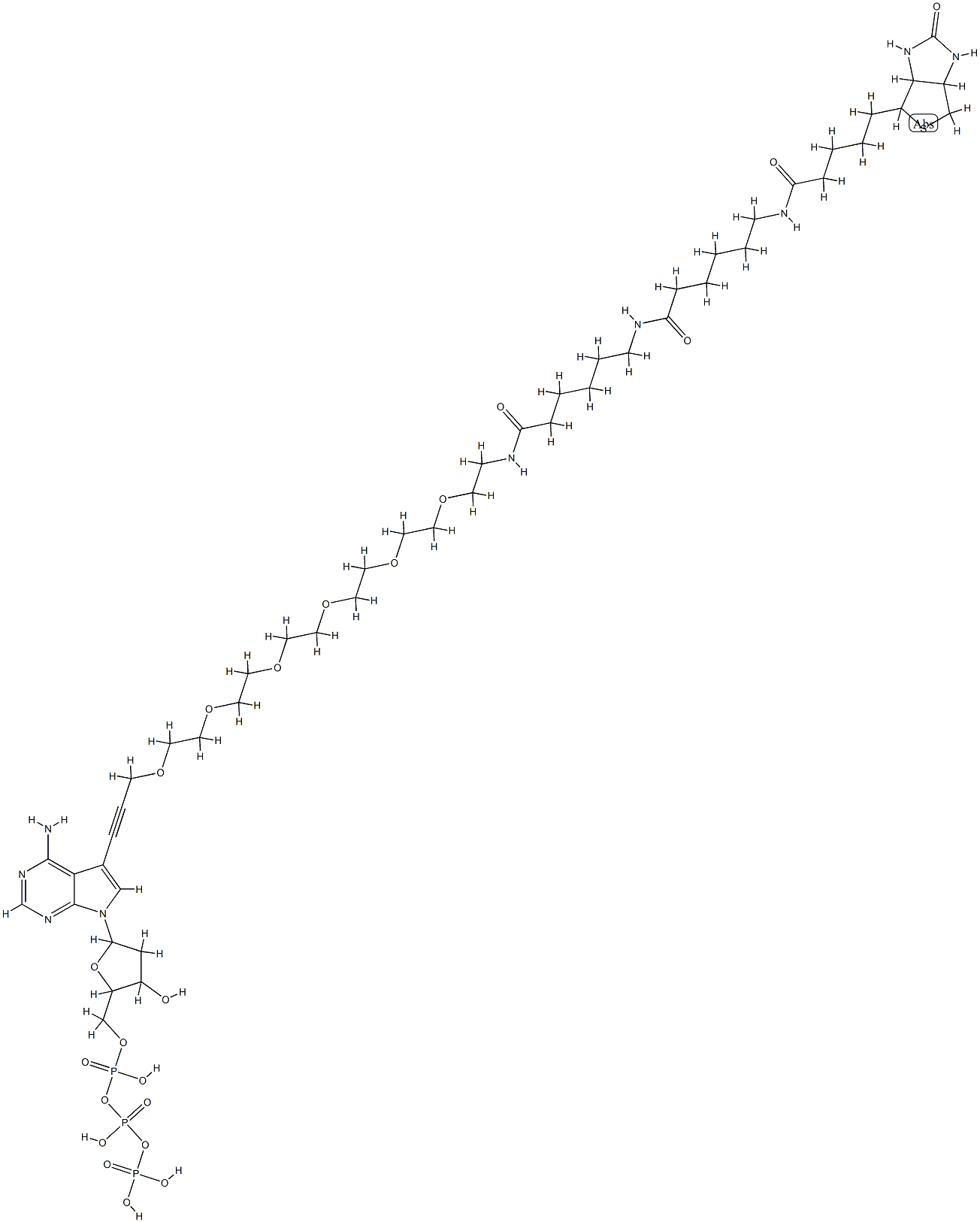 biotin-36-dc7ATP Struktur