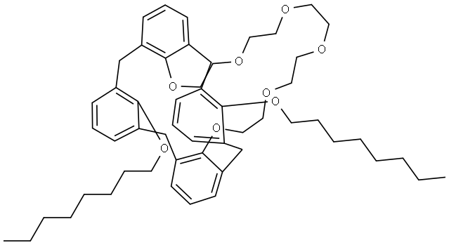 1,3-DIOCTYLOXYCALIX[4!ARENECROWN-6, 97