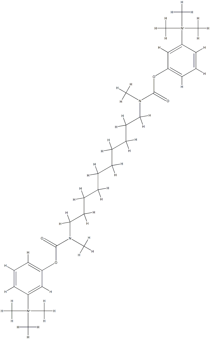 demarcarium Struktur