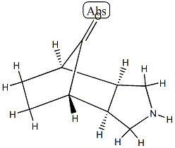 4,7-Methano-1H-isoindol-8-one,octahydro-,(3a-alpha-,4-bta-,7-bta-,7a-alpha-)-(9CI) Struktur