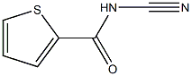 2-Thiophenecarboxamide,N-cyano-(9CI) Struktur