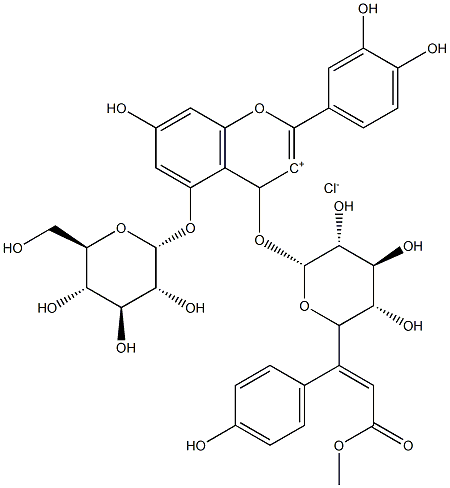 Shisonin Struktur