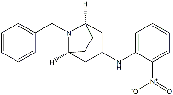 endo-8-benzyl-N-(2-nitrophenyl)-8-aza-bicylo[3.2.1]octan-3- amine Struktur