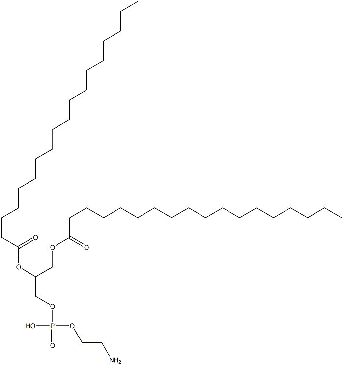 1,2-distearoylphosphatidylethanolamine Struktur