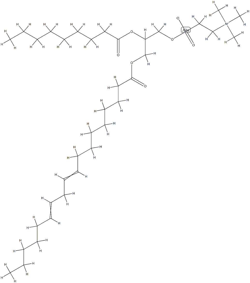 LECITHIN Struktur