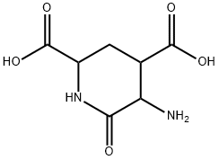 2,4-Piperidinedicarboxylicacid,5-amino-6-oxo-(9CI) Struktur