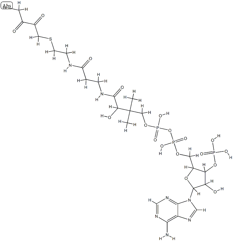 4-bromo-2,3-dioxobutyl-coenzyme A Struktur