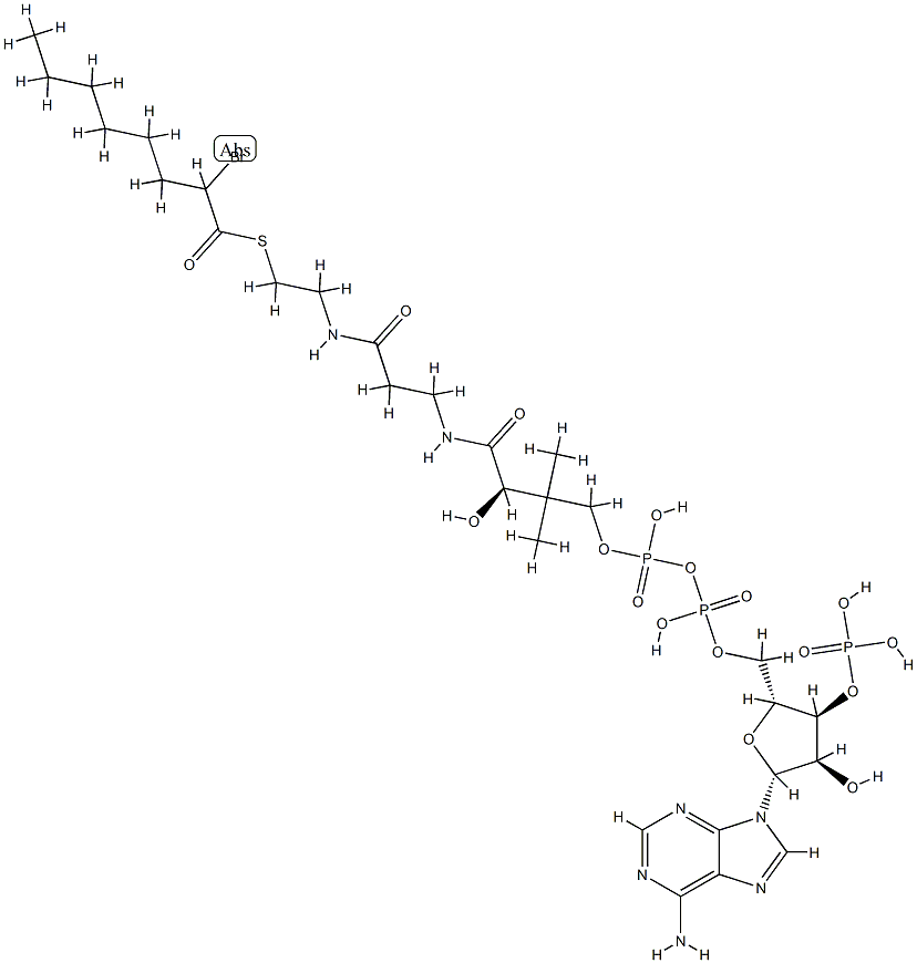 2-bromooctanoyl-coenzyme A Struktur