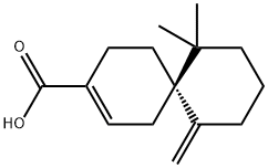 β-chamigrenic acid Struktur