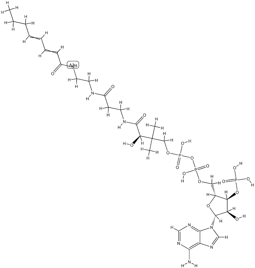 2-trans,4-trans-Octadienoyl-CoA Struktur