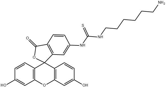 4-(N-6-aminohexylthioureal)fluorescein Struktur