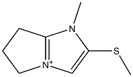 5H-Pyrrolo[1,2-a]imidazolium,6,7-dihydro-1-methyl-2-(methylthio)-(9CI) Struktur