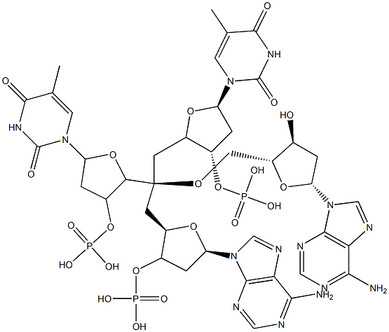 deoxy-(thymidylyl-adenylyl-adenylyl-thymidylic acid) Struktur