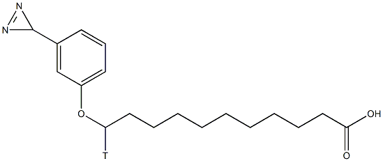 11-3-diazirinophenoxyundecanoate Struktur