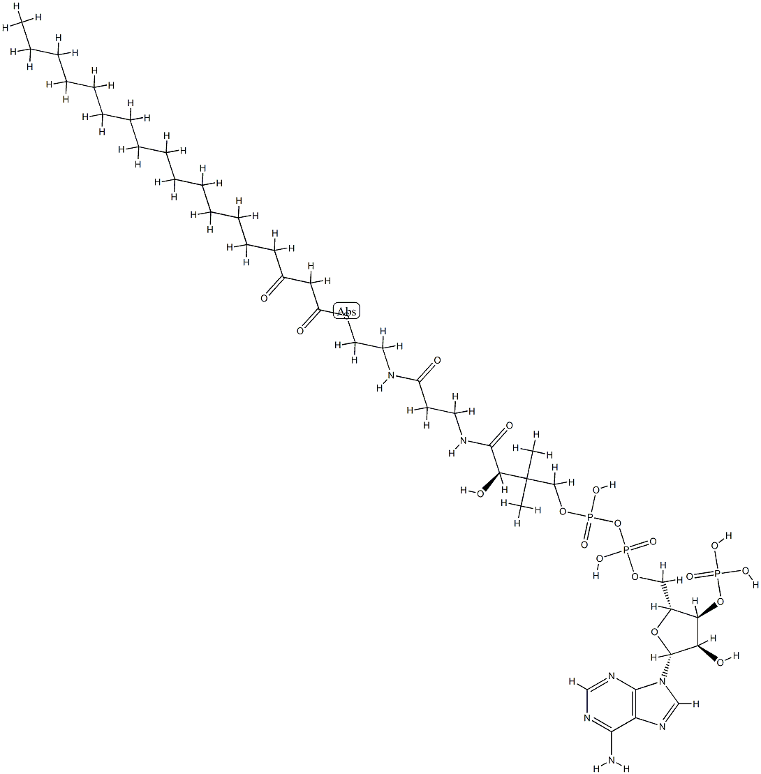 3-ketostearoyl-coenzyme A Struktur