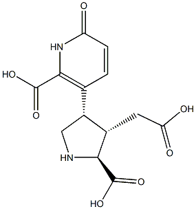 3-[(3S)-5β-Carboxy-4α-carboxymethylpyrrolidin-3α-yl]-1,6-dihydro-6-oxopyridine-2-carboxylic acid Struktur