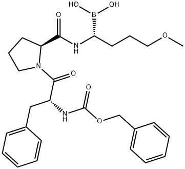 TGN 255 Struktur